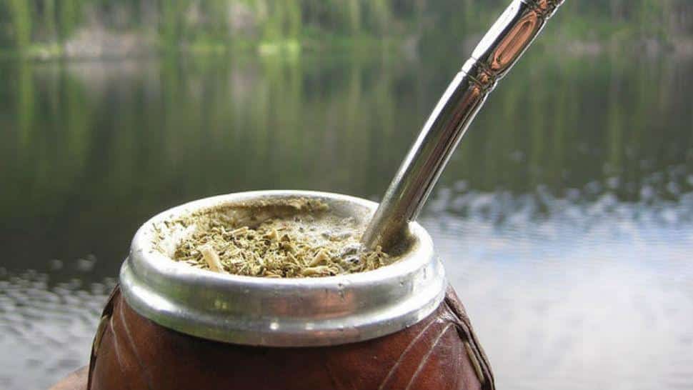 En promedio, un argentino bebe 100 litros de mate por año Tiempo Fueguino