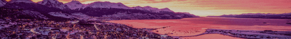 spot_img