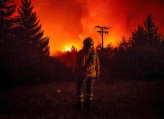 Milei evalúa medidas por los incendios en la Patagonia